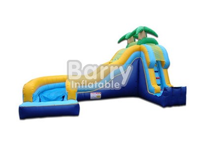 Promotional Good Quality Inflatable Waterslides For Sale BY-WS-047